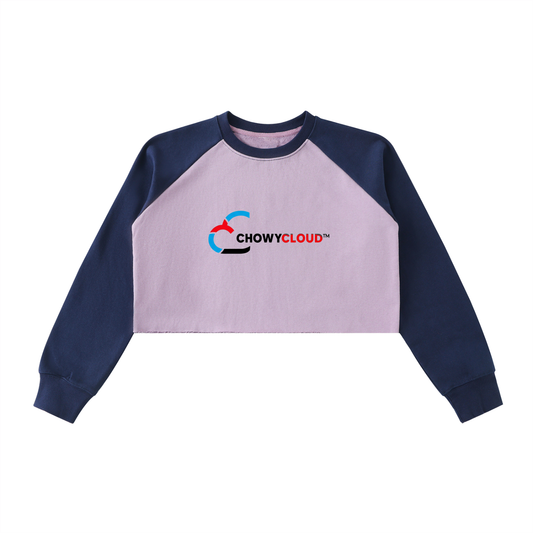 Raw-Hem Color-Block Raglan Crop Sweatshirt