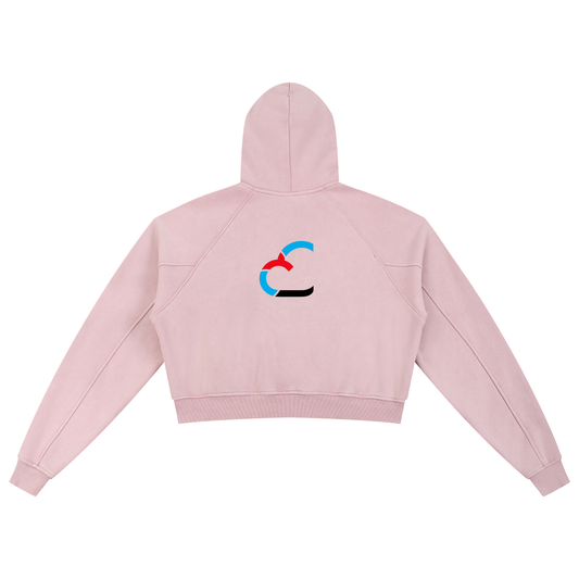 Snow Washed Cropped Hoodie