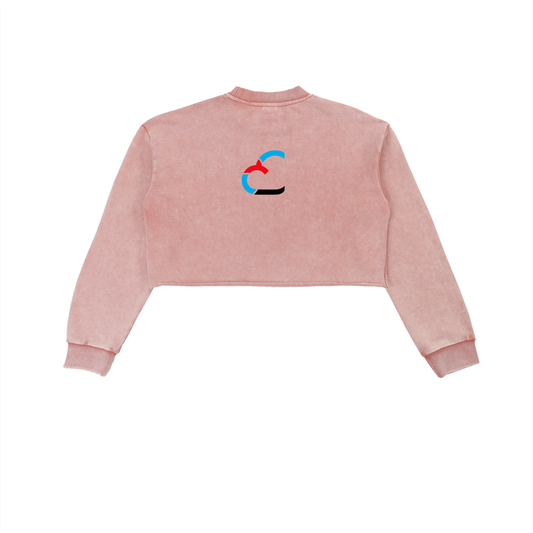 Snow Washed Raw Edge Cropped Sweatshirt