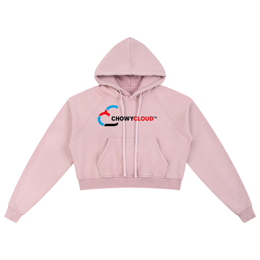 Snow Washed Cropped Hoodie