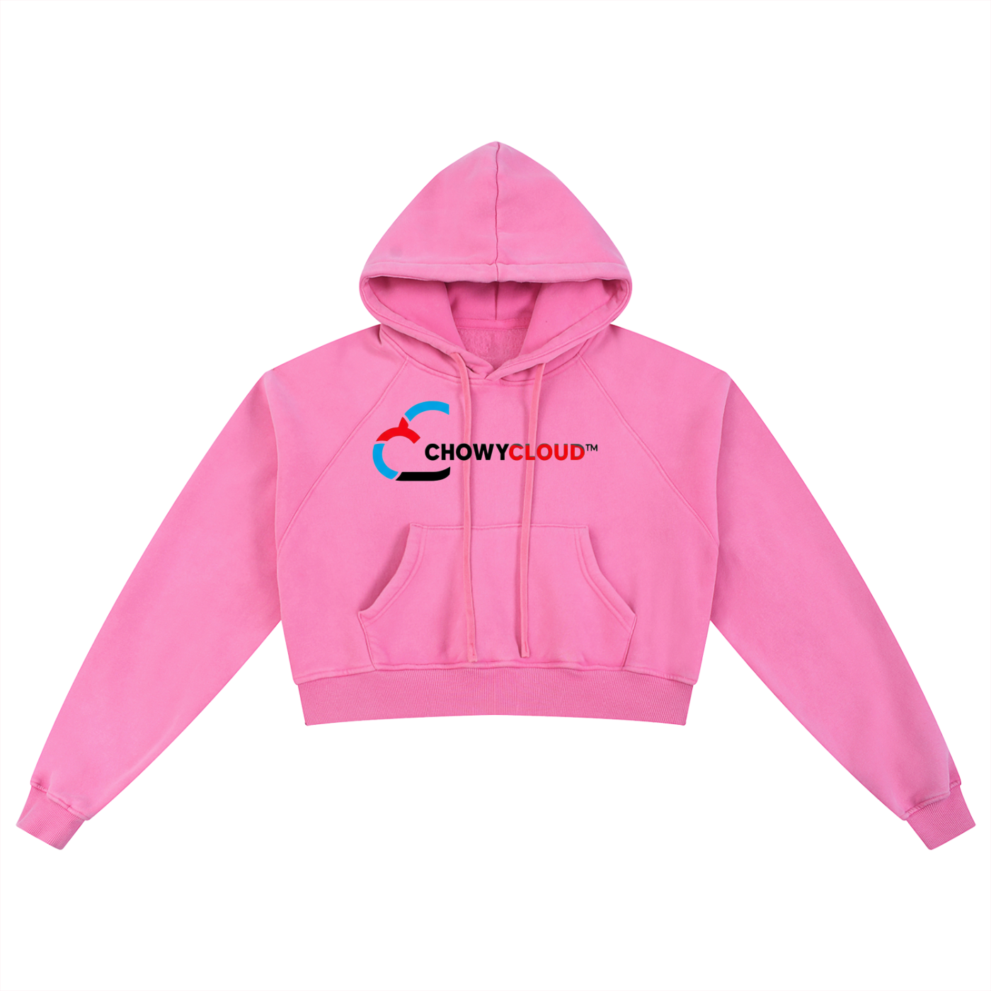 Snow Washed Cropped Hoodie