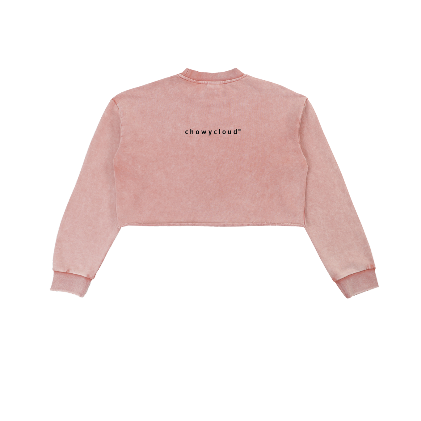 Snow Washed Raw Edge Cropped Sweatshirt